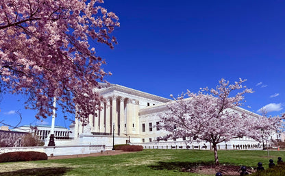 2027 Cherry Blossom Time in Washington DC - April 1-7, 2027