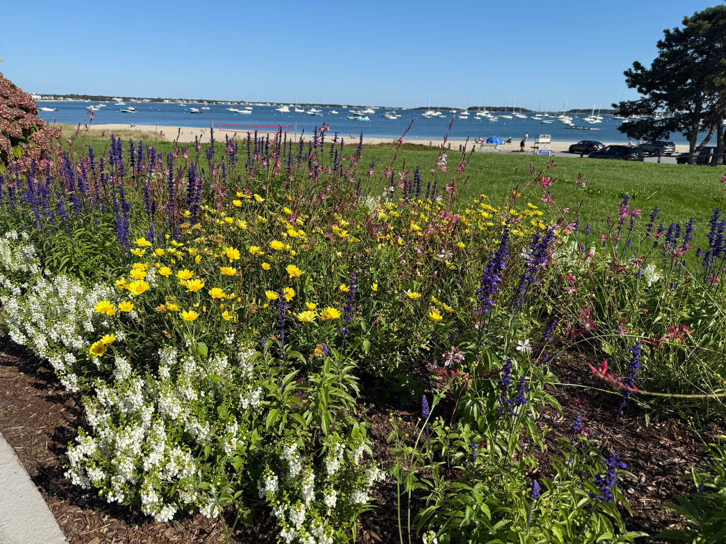 Cape Cod & Martha's Vineyard