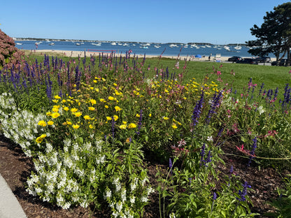 Cape Cod & Martha's Vineyard