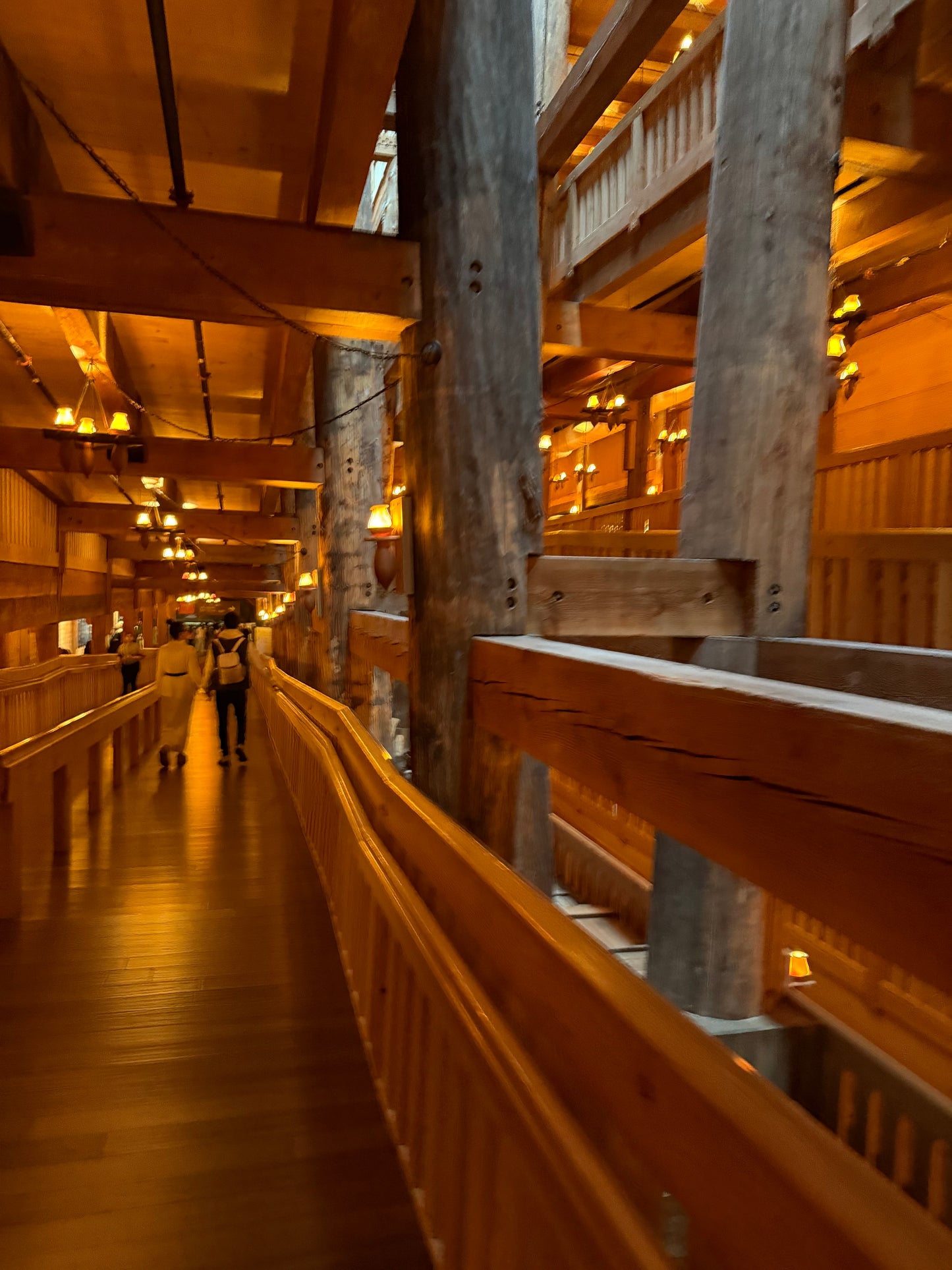 August 31-September 4, 2026 - The Ark Encounter & Creation Museum - Pick Up Locations: South Bend, Plymouth & Kokomo Indiana