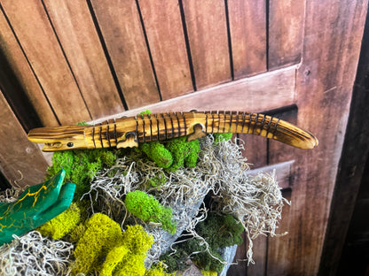 Wooden Crocodile Toy (Purchased in Egypt)
