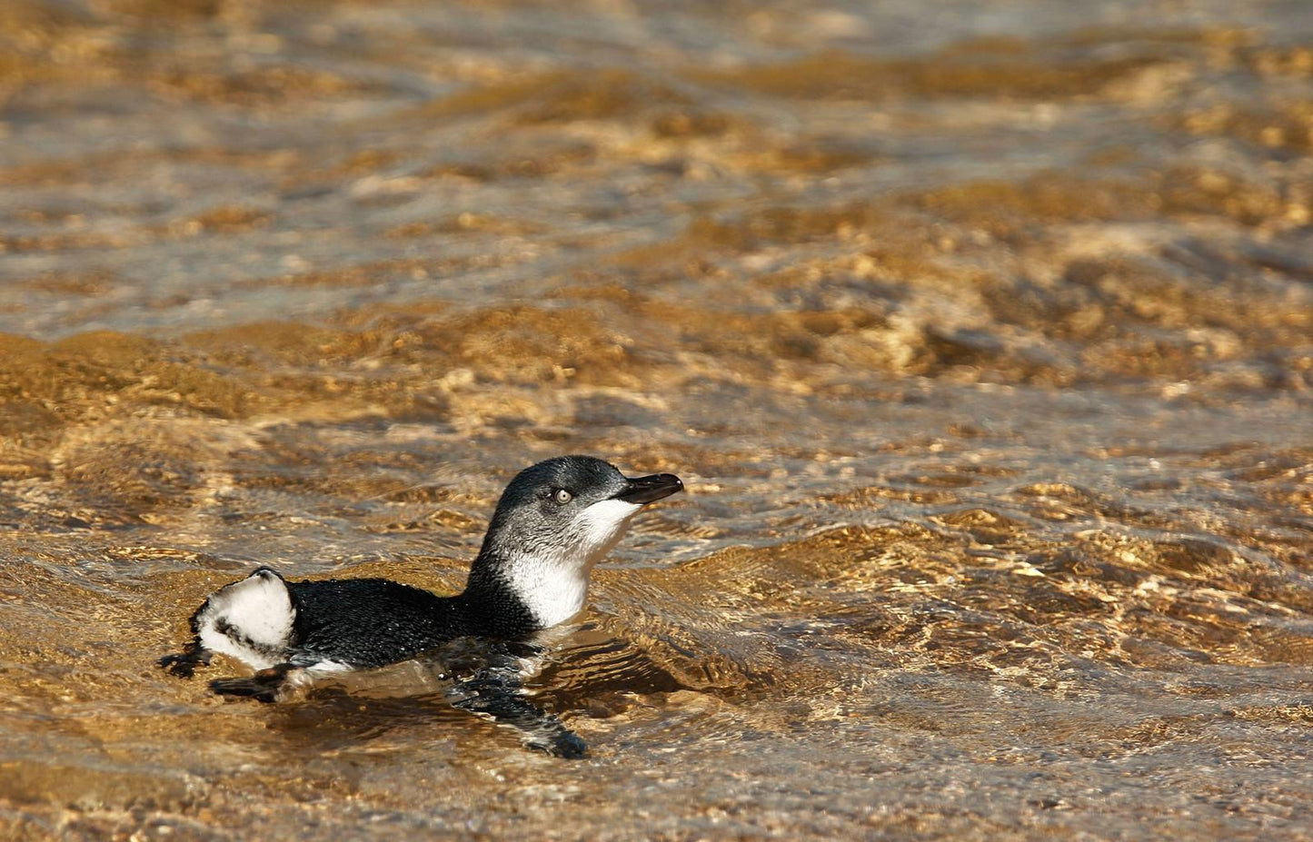 Wonders of Australia June 11-25, 2027