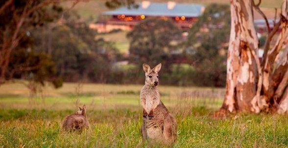 Wonders of Australia June 11-25, 2027