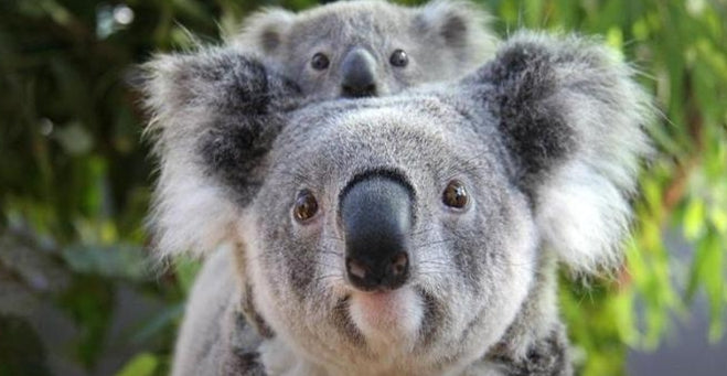 Wonders of Australia June 11-25, 2027