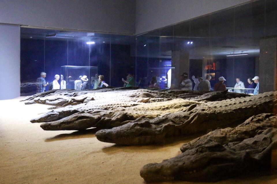 Legends of the Pharaohs: An Immersive Egyptian Odyssey