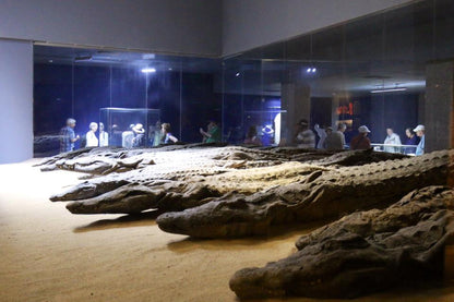 Legends of the Pharaohs: An Immersive Egyptian Odyssey
