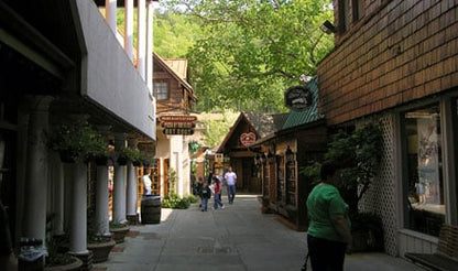 Pigeon Forge and Smokey Mountains Show Trip