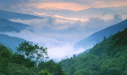Pigeon Forge and Smokey Mountains Show Trip